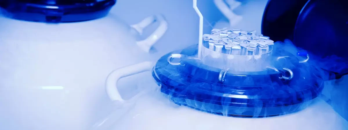 Egg Freezing